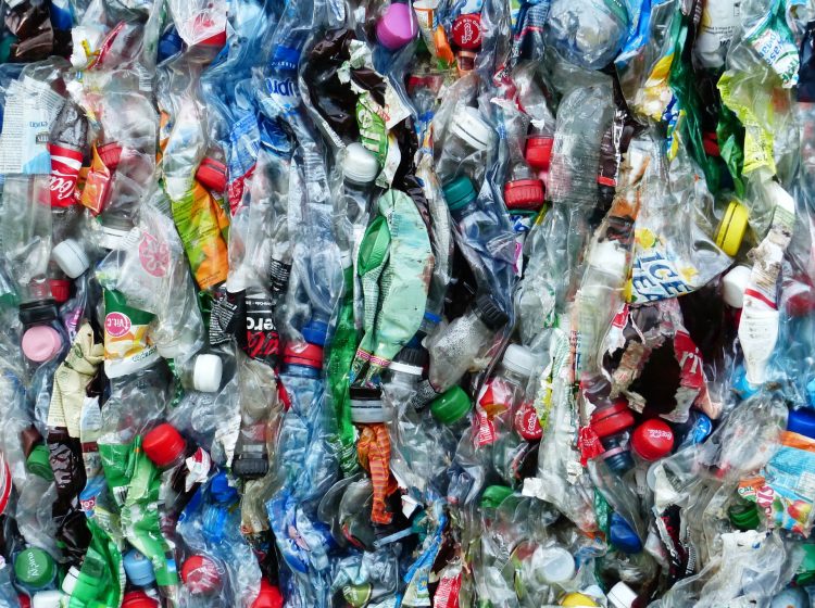PET-Flaschen Recycling