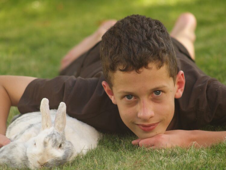 Kaninchen Kind