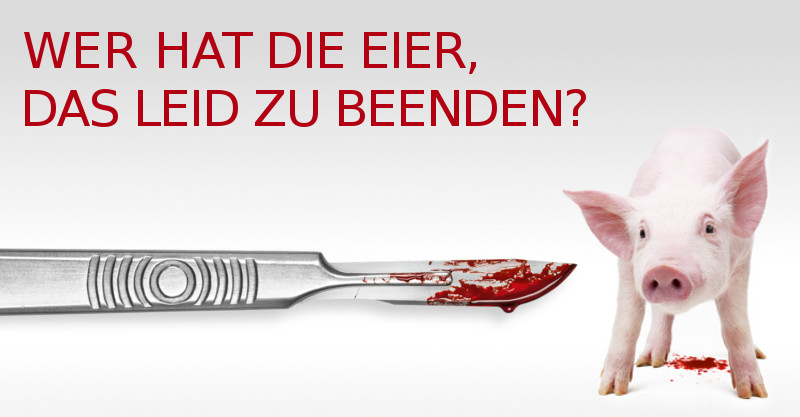 Kampagne Arme Schweine: http://armeschweine.at