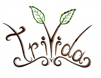 Logo triVida