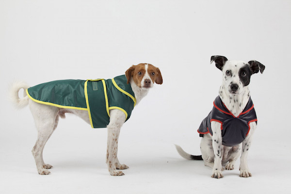 Hundemäntel Brasil & Harlekin © Kinga Rybinska, UNIQUE DOG