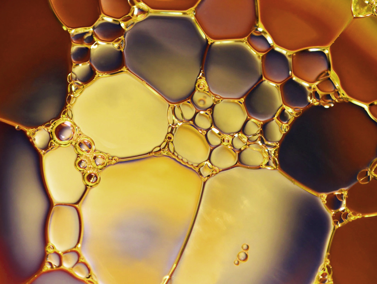 Bild zeigt eine Nahaufnahme von Ölbläschen